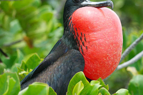 Zanzibar: Prison Island Tour Zanzibar: Prison Island Tour