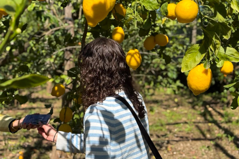 Sorrento: Gluten-Free Cooking Class with a Professional Chef