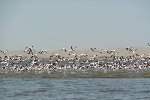 Parque Nacional de Etosha e excursão a Swakopmund