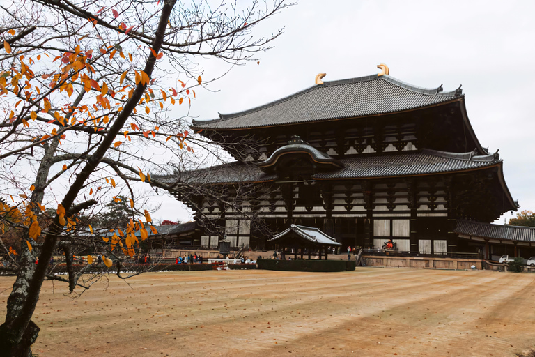 From Osaka/Kyoto/Nara: Customizable Private Tour & Car/Guide
