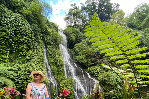 Jatiluwih UNESCO,Bratan Lake,Iconic Gate,Banyumala Waterfall North Part of Bali Privat Tour Without Entrance