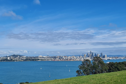 Tour di un giorno intero dei punti salienti della città di Auckland