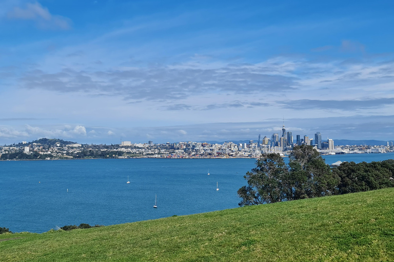 Tour di un giorno intero dei punti salienti della città di Auckland