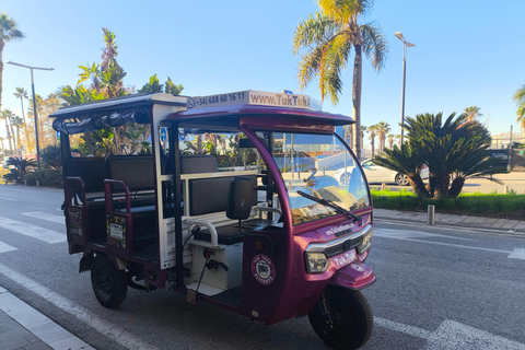 Discover Alicante by Tuk Tuk: an experience for everyone Discover Alicante and Parque El Palmeral by Tuk Tuk in 90 minutes