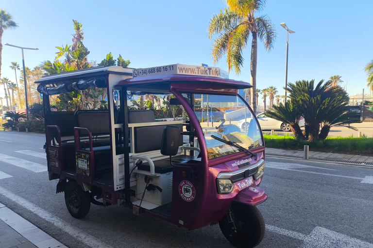 Discover Alicante by Tuk Tuk: an experience for everyone Discover Alicante and Parque El Palmeral by Tuk Tuk in 90 minutes