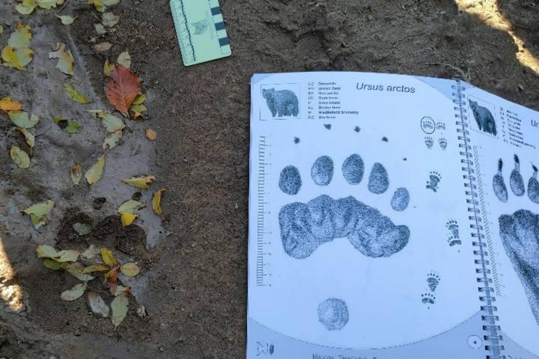 From Sofia: Wildlife Tracking & Search Science Expedition
