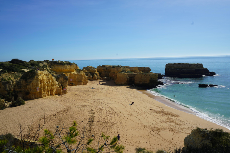 Albufeira Coastline Hiking - Small Group Albufeira Coastline Hiking Small Group