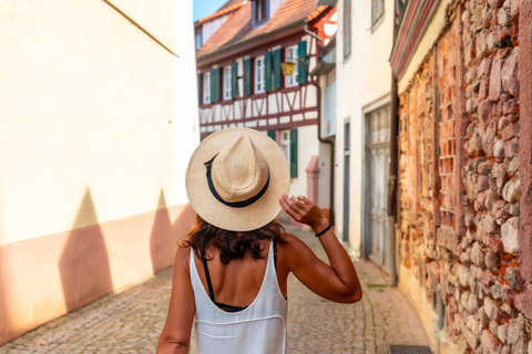 Rhine Falls and Black Forest Private Day Trip