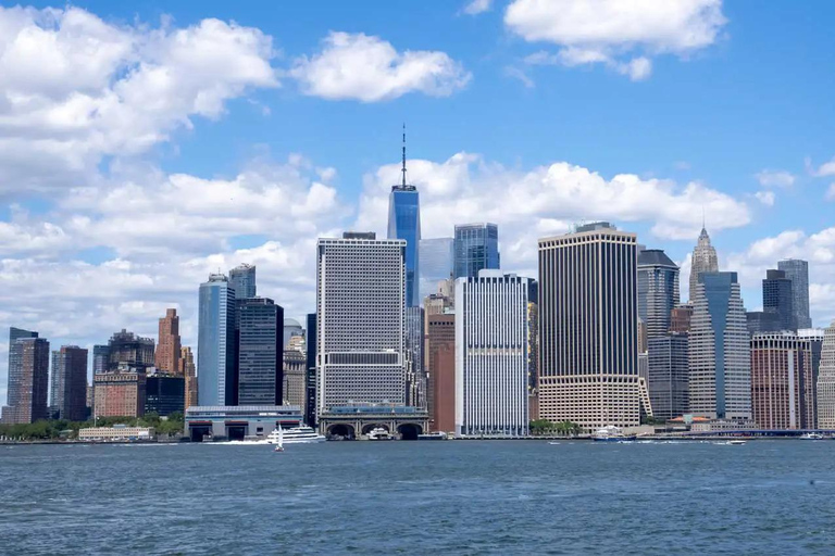 NYC : croisière d&#039;observation des baleines au départ de ManhattanNew York : croisière d&#039;observation des baleines au départ de Manhattan