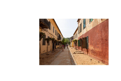 Dakar - Gorée Island: Guided visit of culture, history, and art with an artist