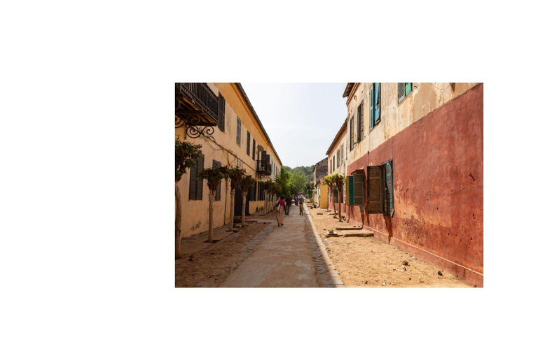 Dakar - Gorée Island: Guided visit of culture, history, and art with an artist