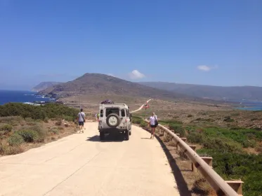 Asinara-Nationalpark: Ganztagestour mit dem Geländewagen