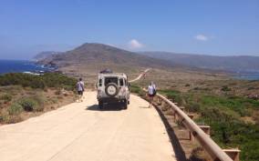 Asinara National Park: full day off-road tour
