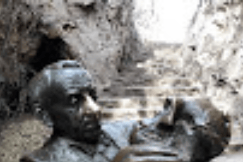 Journey to the Cradle of Humankind