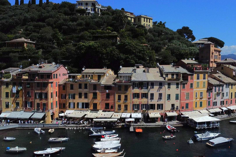Baignade avec les cétacés Visite privée en bateau Genova Portofino