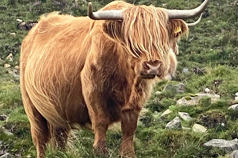 Isle of Skye: privédagtrip met vervoerSkye Levend Rondleidingen