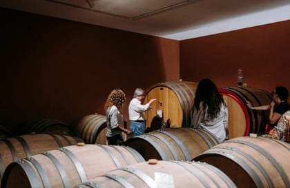 Winery Visit & Tasting on the Volcanic Slopes near Catania