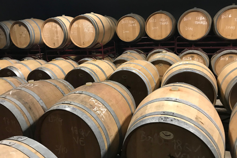 D'Albufeira: visite de dégustation de vin et visite de Silves