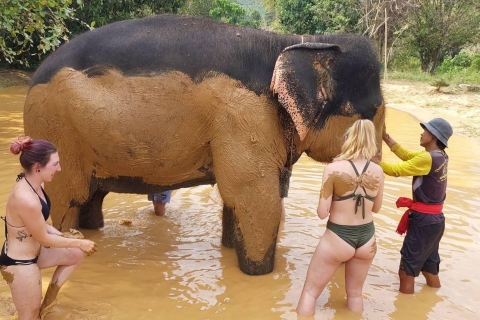 Krabi : Centre de sauvetage des éléphants de Khao Sok et radeau en bambouCentre de sauvetage des éléphants de Khao Sok et pagaie en radeau de bambou - Privé