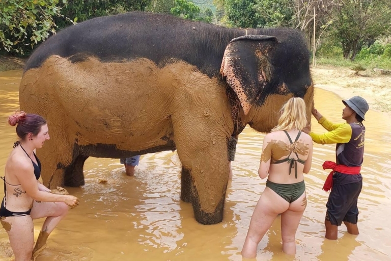 Krabi: Centro de Rescate de Elefantes de Khao Sok y Remo en Balsa de BambúCentro de Rescate de Elefantes de Khao Sok y Remo en Balsa de Bambú-Privado