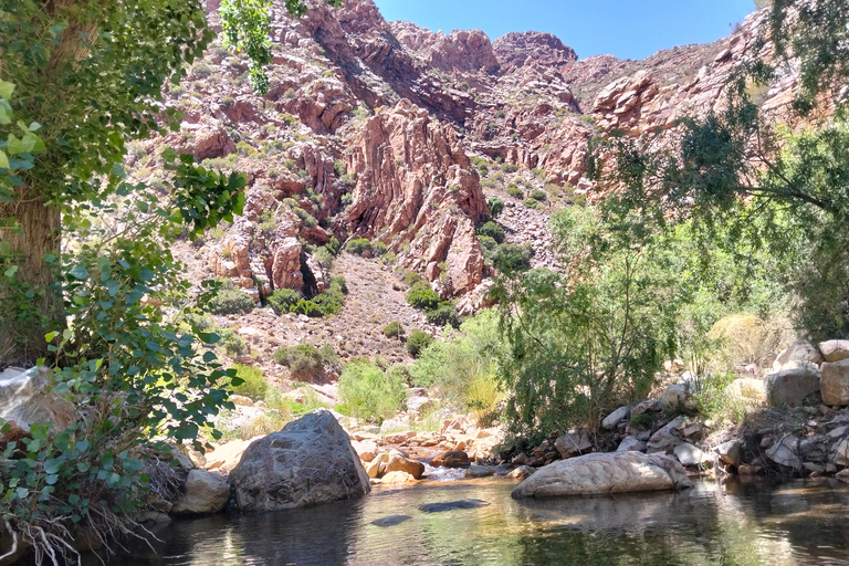 Johannesburg: 10-Day Victoria Falls & Garden Route Tour