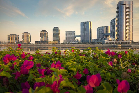 Lusail City Tour Qatar Private Tour - English Guide