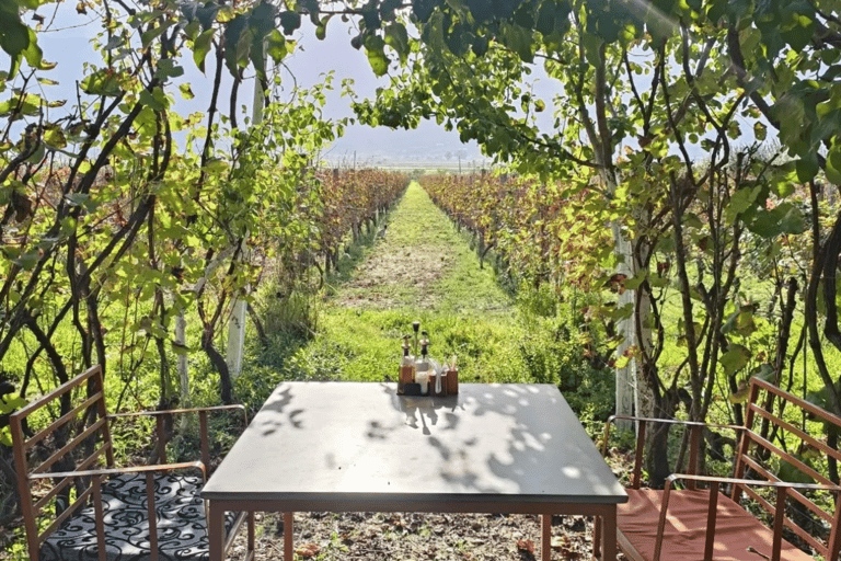 Z Tirany: Gjirokastër UNESCO i Blue Eye – wycieczka 1-dniowa z przewodnikiemZ Tirany: Gjirokastër UNESCO i Blue Eye wycieczka 1-dniowa z przewodnikiem