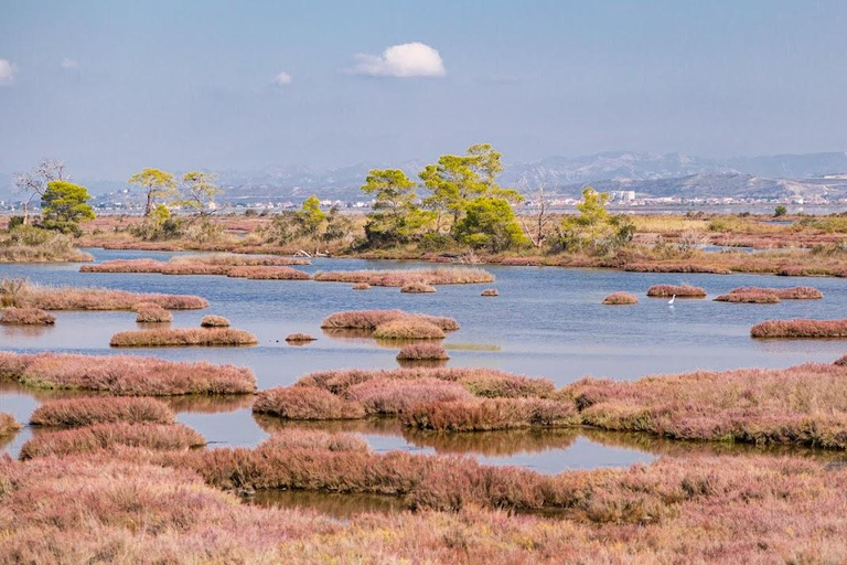 从地拉那出发：贝拉特和卡拉瓦斯塔泻湖一日旅行