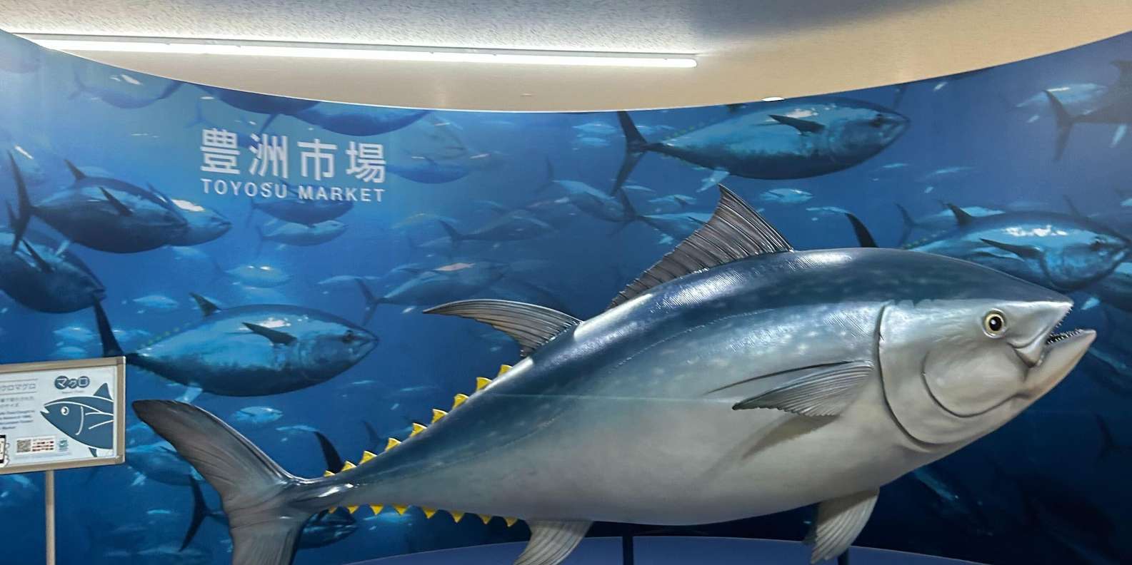 Tokyo tuna auction tour — Toyosu bluefin auction, hand signals, Sushi Dai breakfast — image 6