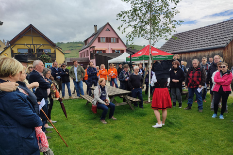 Kaysersberg Vineyard Discovery of the vineyard and wine, Domaine Meyer-Krumb Kaysersberg Vineyard Discover the vineyard and wine, Meyer-Krumb Estate