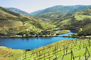 Douro-Tal für Kleingruppen: 2 Weingüter, Mittagessen und Flussfahrt