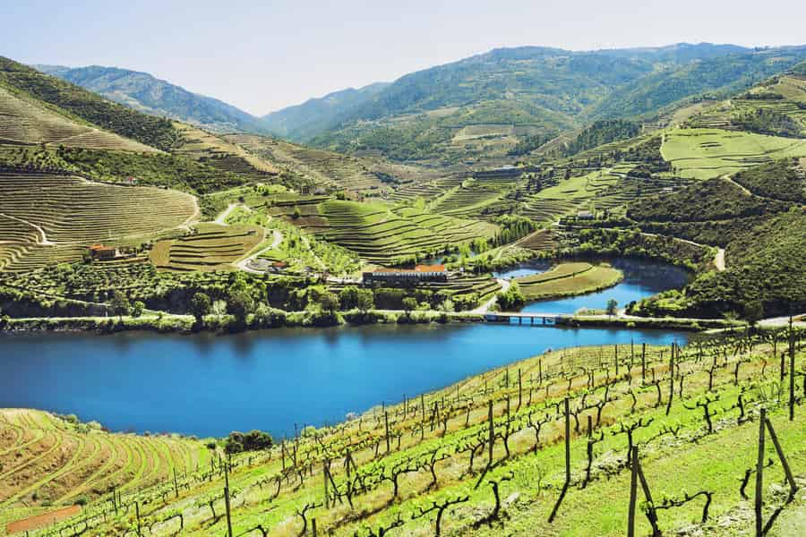 Douro-Tal für Kleingruppen: 2 Weingüter, Mittagessen und Flussfahrt. Foto: GetYourGuide Douro-Tal für Kleingruppen: 2 Weingüter, Mittagessen und Flussfahrt. Foto: GetYourGuide
