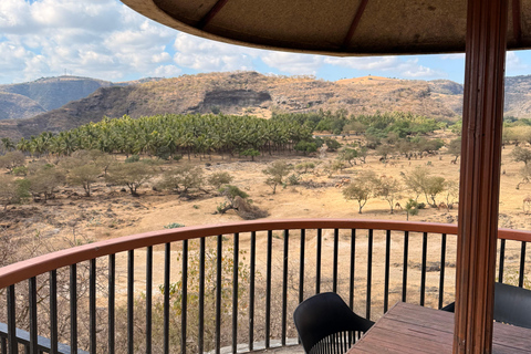 Salalah Local Life Tour: Camels, Coast & Natural Wonders