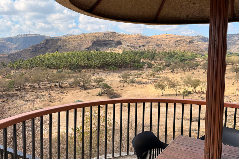 Salalah Local Life Tour: Camels, Coast & Natural Wonders