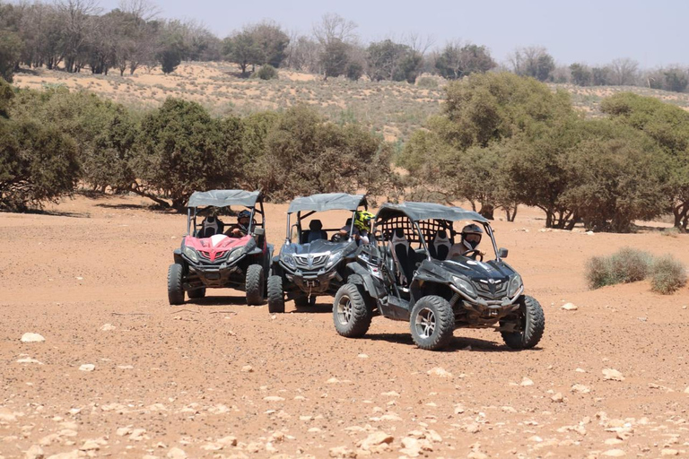 Agadir: Buggy Adventure with Hotel Transfers