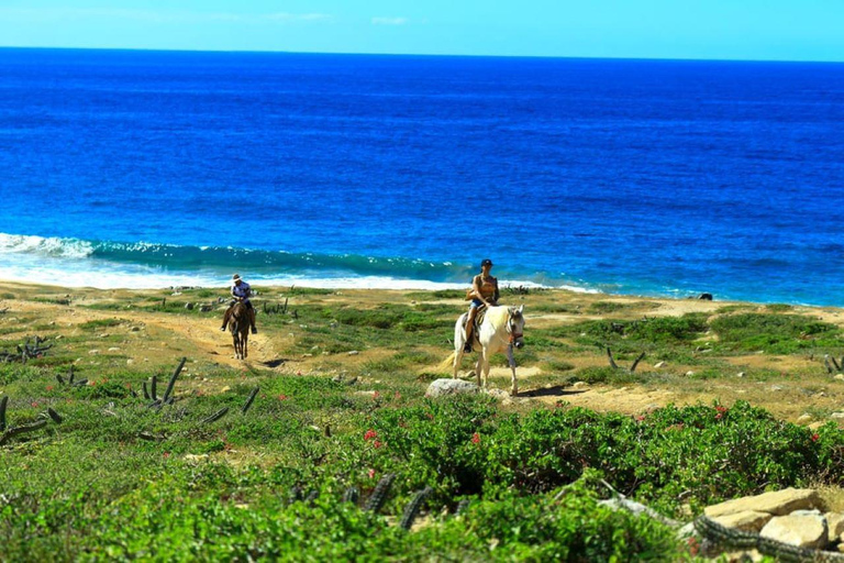 Cabo San Lucas: Horseback Riding on the Beach Experience Migriño Horseback Riding PRO