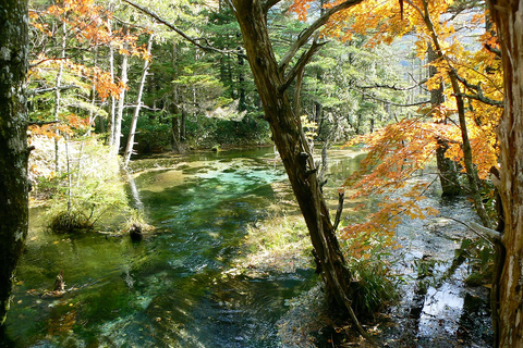 Kamikochi Day Tour from Nagoya: Discover the Pristine Valley
