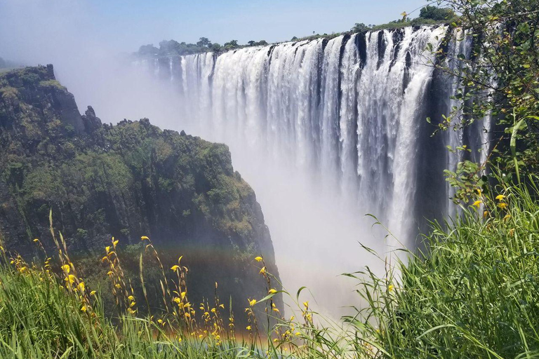 Visite guidée des chutes Victoria côté Zambie