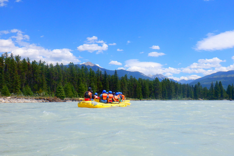 Radium Hot Springs: Kootenay River Rafting Adventure Classic Half Day (5+ Hours)