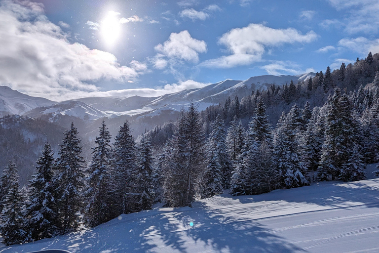 Borjomi Bakuriani Day Group Tour Without Guide