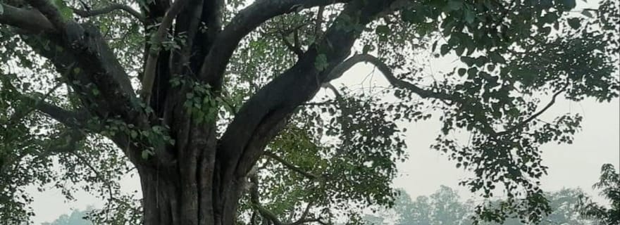 kathmandu pokhara voiture privée