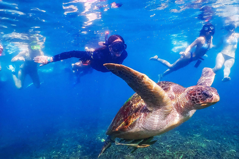 كوه تاو: كوه نانغيوان ورحلة الخلجان المخفية بواسطة الأكسجينرحلة بعد الظهر