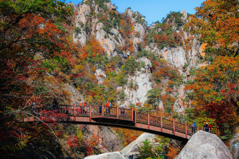 From Busan: 3-Day Eastern Korea Tour with Seoul Drop off
