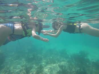 Akumal playa: Pływanie z żółwiami w ich naturalnym środowisku.
