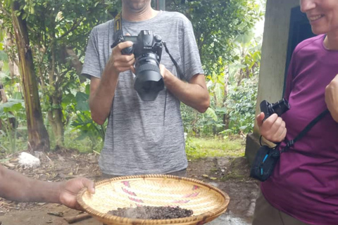 Tagestour zu den Materuni Wasserfällen $ Coffee Tour mit Mittagessen