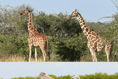 Safari e scoperte: Riserva di Bandia e Laguna di Somone