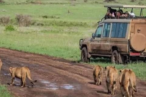 5Day Safari Tarangire, Serengeti,Ngorongoro& Manyar Midrange