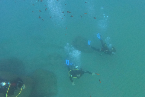 Salou: Scuba Diving for Beginners