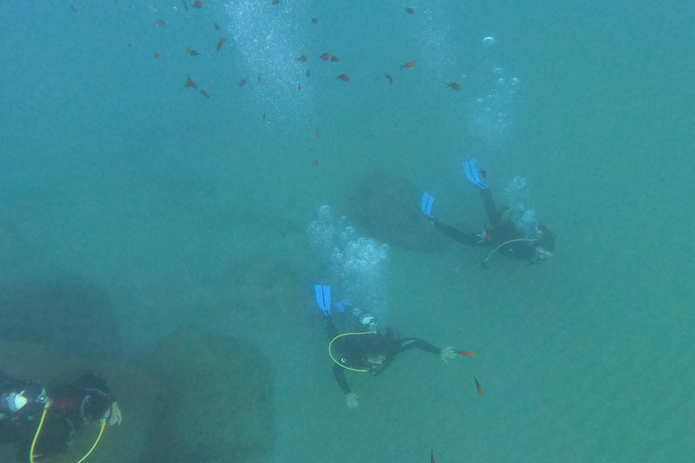 Salou: Scuba Diving for Beginners