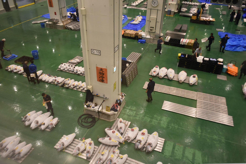 Toyosu Fish Market Tour for Chefs – Go Behind the Scenes